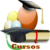 Cursos